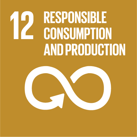 UN Sustainable Development Goal 12: Responsible consumption and production