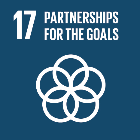 UN Sustainable Development Goal 17: Partnerships for the goals